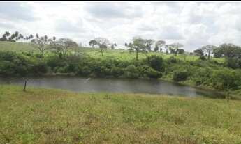 Imagem 4: Ótima Fazenda com 20 hectares na região de Macaíba de porteira fechada