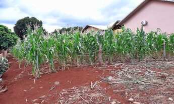 Imagem 3: São Pedro do Iguaçu - Lote/Terreno - Centro