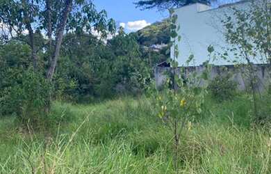 Imagem 6: Lote com área de 360m² no bairro Central em Mateus Leme MG
