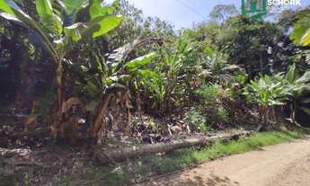 Imagem 7: Sítio à venda, 30142 m² por R$ 190.000,00 - Patrimônio - Massaranduba/SC