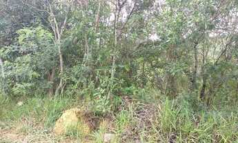 Imagem 7: Nova Lima - Loteamento/Condomínio - Pasárgada