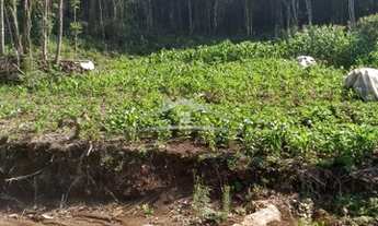 Imagem 5: GRAMADO - Terreno Padrão - Linha Avila