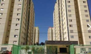 Imagem: Lindo Apartamento - Residencial das Palmeiras