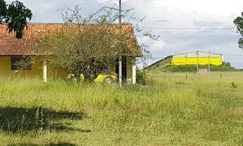 Imagem 7: Granja em terreno de 55.000 m2, com 02 casas e barracão - Quadra - SP