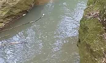 Imagem 4: Vendo chácara Chácara com venda por R$230.000