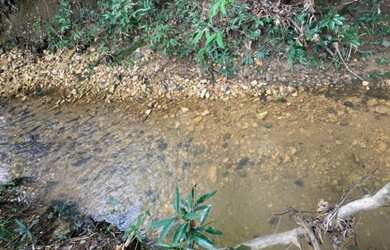 Imagem 3: Lugar super tranqüilo, chácara de 4 mil metros, Jaboticatubas (Temos varias opções)