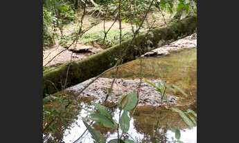 Imagem 3: Sítio 3 Alqueires