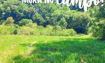 Imagem 6: ÚLTIM CHÁCARA COM RIACHO COM ESCRITURA