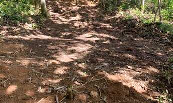 Imagem 7: Terreno com luz individual