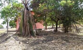 Imagem 6: Casa-América - CA0025