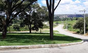 Imagem 7: MATOZINHOS - Terreno Padrão - Floresta