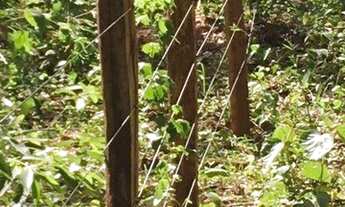 Imagem 7: Sítio à venda, 560000 m² por R$ 3.000.000,00 - Zona Rural - General Salgado/SP