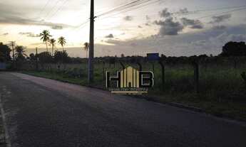 Imagem 2: Terreno à venda, 27.170 m² por 220 reais o valor do m² - Próximo a Estrada do Fio - Mangab