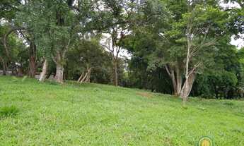 Imagem: Terreno com 5.000m² na Granja Viana dentro