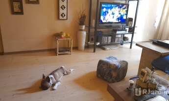 Imagem: Metrô próximo. Portaria 24h. Apartamento