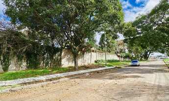 Imagem 7: CURITIBA - Terreno Padrão - Jardim Social