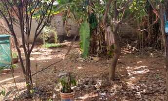 Imagem 6: Casa com 3 quartos - Bairro Parque Montreal em Aparecida de Goiânia