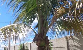 Imagem 3: Edícula para Venda em Araras, Jardim São João, 3 dormitórios, 1 suíte, 4 banheiros, 5 vaga