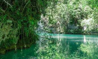 Imagem: Fazenda à venda em Bonito-Mato Grosso do