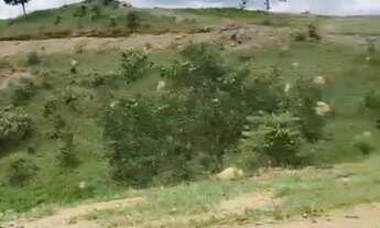 Imagem 7: Linda Chácara 82.340 m2 Municipio Vianopolis -GO