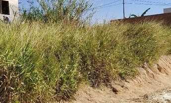 Imagem 2: TERRENO ITUPEVA JARDIM BOTÂNICA