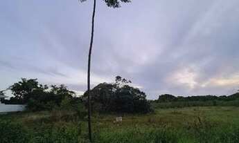 Imagem 2: Terreno Jurerê Internacional