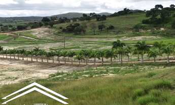 Imagem 5: Lote/Terreno para venda com 1000 metros quadrados em Gravatá - PE