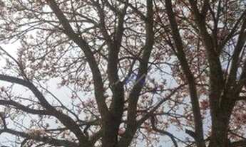 Imagem 4: Chácara de 4.628 m² em Pilar do Sul/Oportunidade