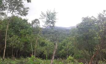 Imagem: Venda Residential / Land Lot Nova Lima MG