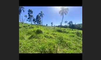 Imagem 7: Lotes para investir