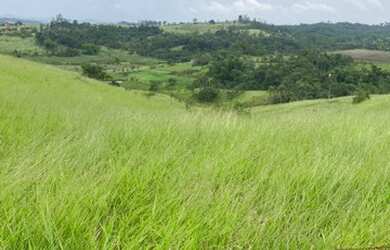 Imagem 4: O patrão endoidou. Oportunidade de construir seu sonho