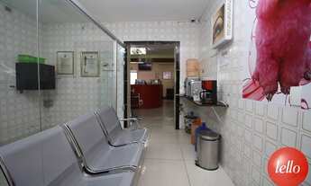 Imagem 7: São Paulo - Casa Comercial - Moema