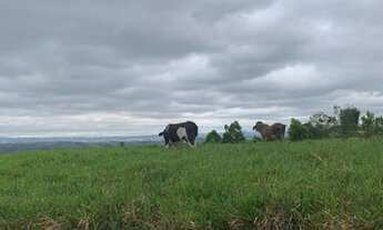 Imagem 5: 18-LOTES DE 2500 MTS EM JACAREI