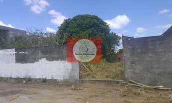 Imagem 7: Terreno para Venda em Feira de Santana, Lagoa Salgada