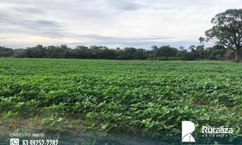 Imagem 6: Fazenda em exploração agrícola na região do Vale do Araguaia TO