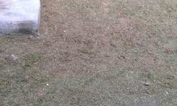 Imagem 6: Ótima casa em Céu Azul, Camaragibe, para alugar com três quartos por R$ 600,00