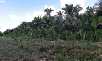Imagem 3: Fazenda para pecuaria em Caxias do Maranhão