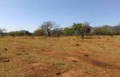 Imagem 4: Financio, Excelente Chácara 1.000m² Planas, Igarapé, Conquiste Agora o Seu Sonho