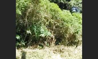 Imagem 4: Chácara com uma bela casa/Morar ou descansar/, Itanhaém -litoral sul