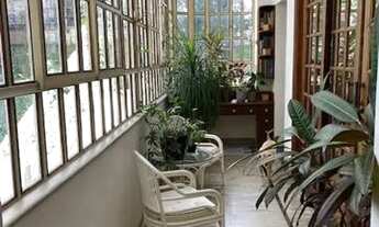 Imagem 5: Um clássico dos anos 50, raridade em S.Paulo