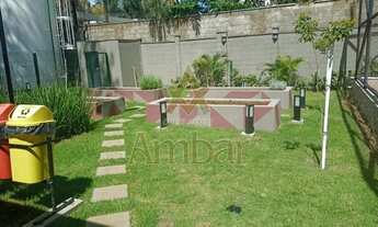 Imagem 4: Cobertura - Ribeirão Preto - Alto da Boa Vista