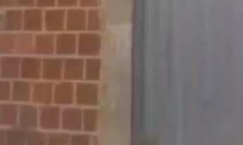 Imagem: Vende uma casa no bairro santa luzia