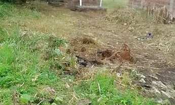 Imagem: Casa em Itamaracá - Área total 8x20