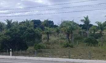 Imagem 6: Vendo 5 lotes de 12 por 30