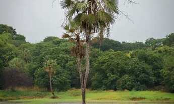 Imagem 2: * Loteamento Reserva Camará a 7 km do Centro de Eusébio! Condomínio Fechado 3 9 6 1 4