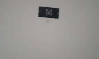 Imagem 4: Apartamento Residencial para locação, Aclimação, São Paulo - AP0272