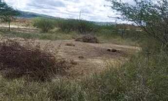 Imagem 4: Terreno bairro beija flor