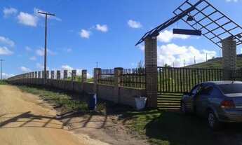 Imagem: Granja/sítio perto da lagoa do papagaio