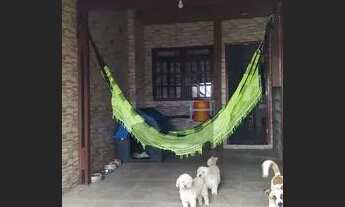 Imagem 4: SãO JOSé DOS PINHAIS - Casa Padrão - Afonso Pena