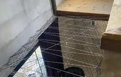 Imagem 4: Aluguel anual Balneário Camboriú